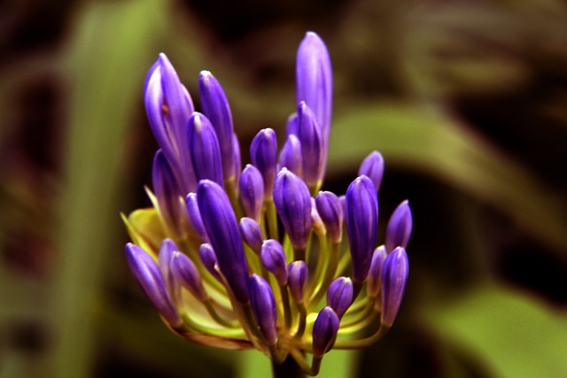 罗马诺：国米仍有意科内，但除非报价非同寻常否则罗马不卖